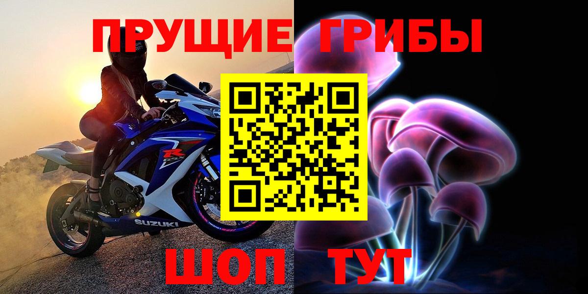 Галлюциногенные грибы Psilocybe  Вход с VPN  Нарткала 